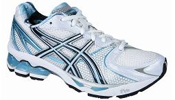 Asics Gel Kayano 15 TN950 (W)