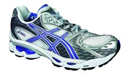 Asics Gel Nimbus 10 TN890 (W)