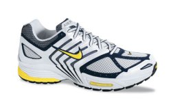 NIke Air Pegasus 