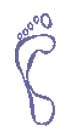 Arched Foot