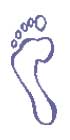 Normal Feet